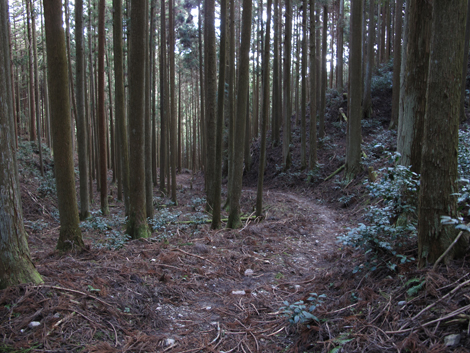 20140105hike (288)